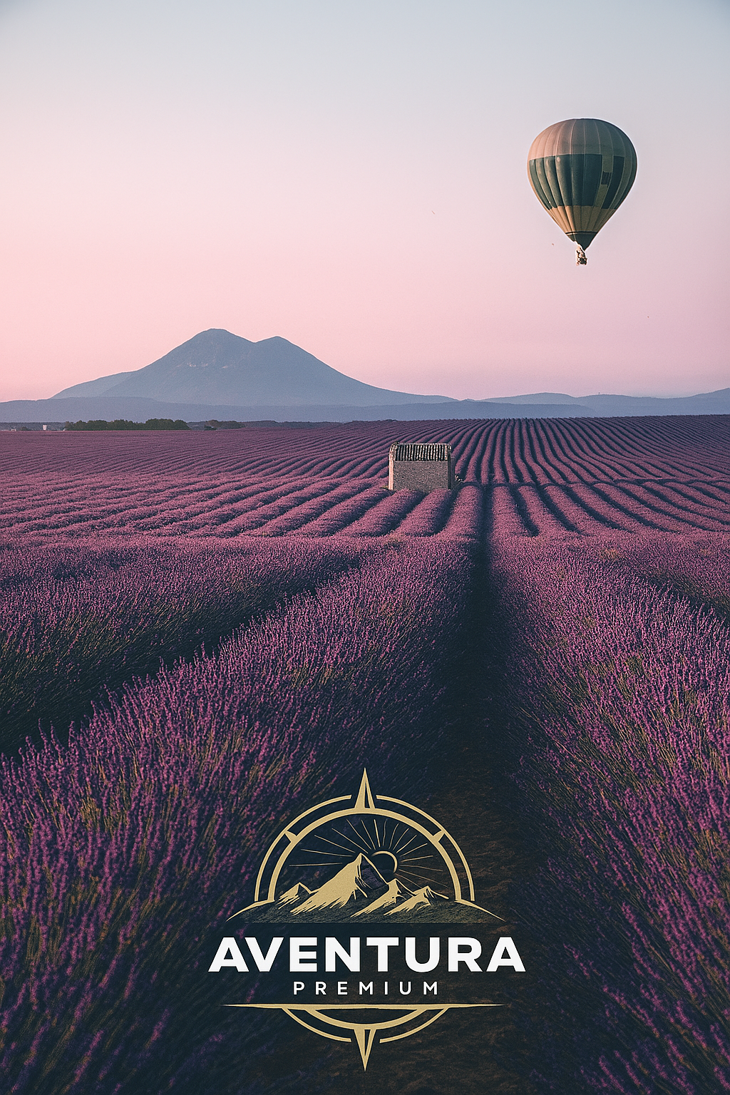 Champs de lavande avec une montgolfière en Provence